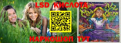 индика Гусь-Хрустальный