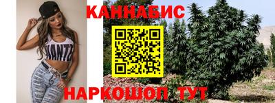 индика Гусь-Хрустальный