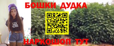 индика Гусь-Хрустальный