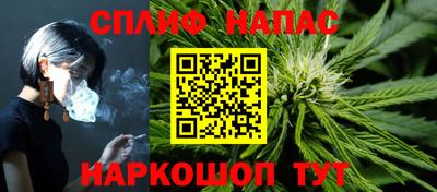 индика Гусь-Хрустальный