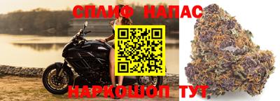 стаф Гусиноозёрск