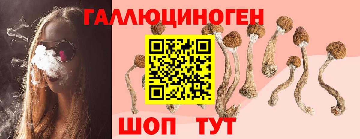 Кузнецк  Галлюциногенные грибы мицелий  Псилоцибиновые грибы мухоморы  Вход с VPN 